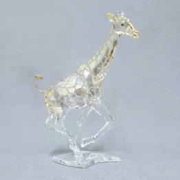 Giraffe 2008 - without box cover
